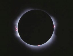 メキシコ皆既日食で撮影されたプロミネンスの写真